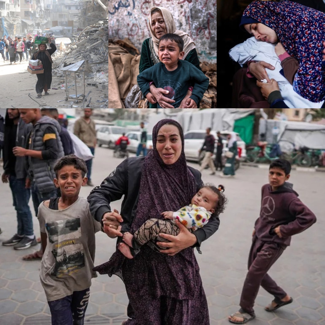 ביום הלאומי לאישה הפלסטינית: נשות פלסטין נושאות את עול הסבל – וממשיכות לעמוד בחזית