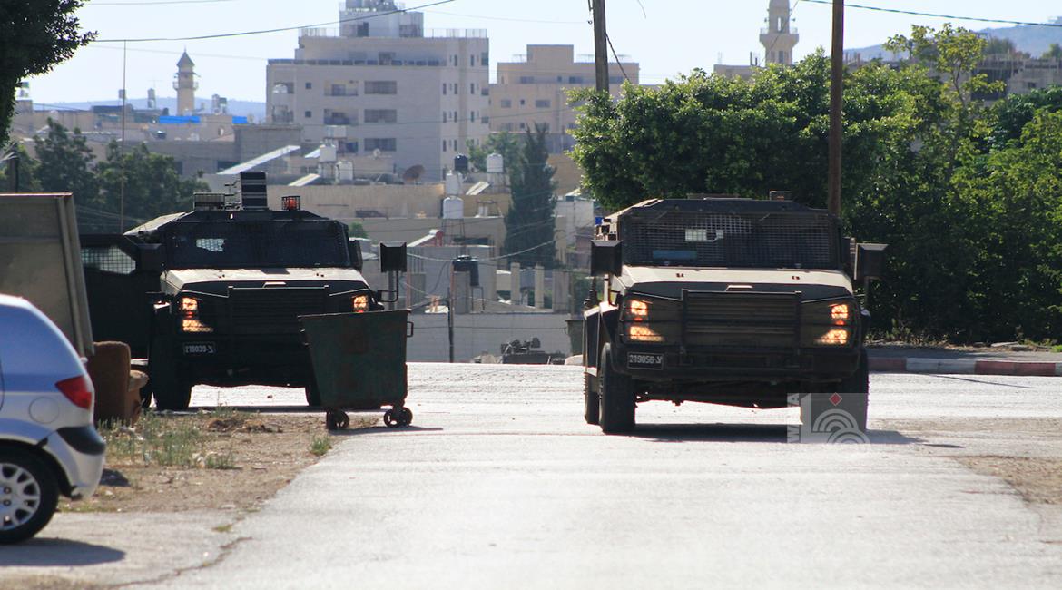 הכיבוש ממשיך בעקירת עצי זית והרס אדמות ממערב לסלפית – הכנה לכביש התנחלותי חדש