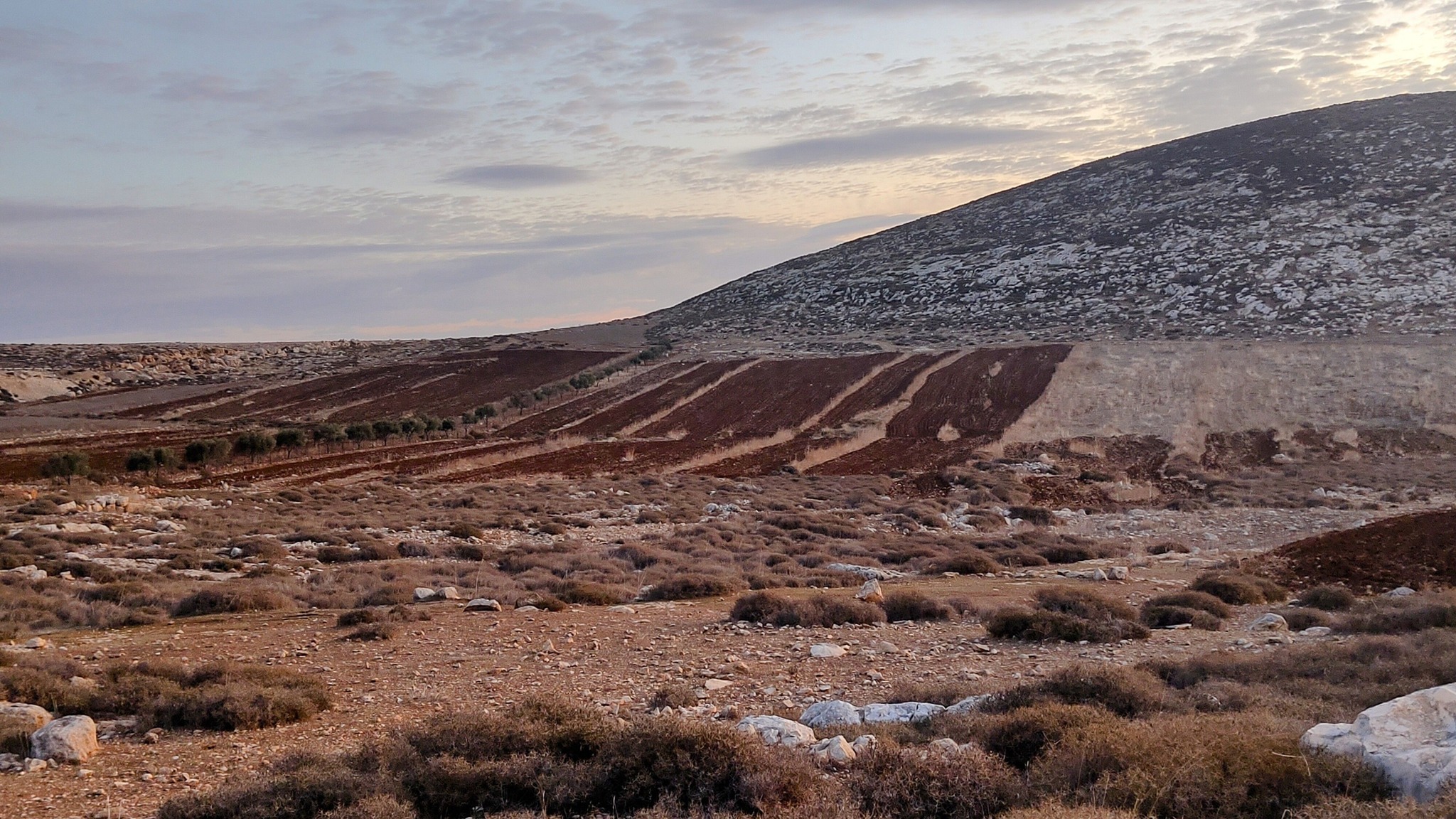 רשויות הכיבוש פרסמו מכרזים לבניית 356 יחידות התנחלות חדשות בהתנחלות "אדם" מצפון־מזרח לירושלים