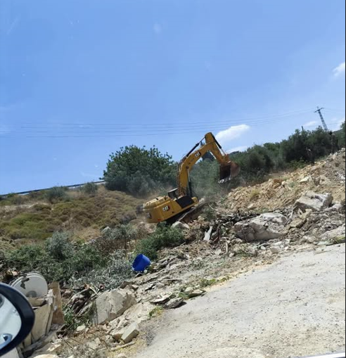 כוחות הכיבוש עקרו עשרות עצי זית ועצי פרי מאדמות מדמא שמדרום לשכם
