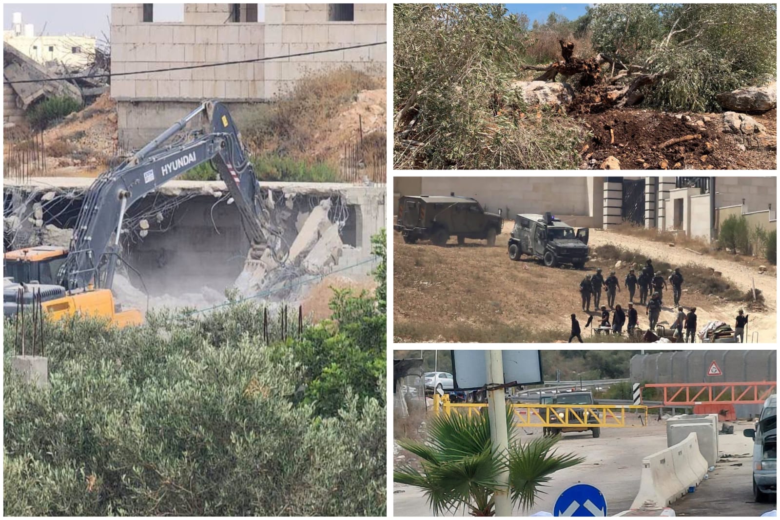 דו"ח פלסטיני: ישראל מאיצה את הרחבת ההתנחלויות ומגבירה את הלחץ על קהילות בגדה