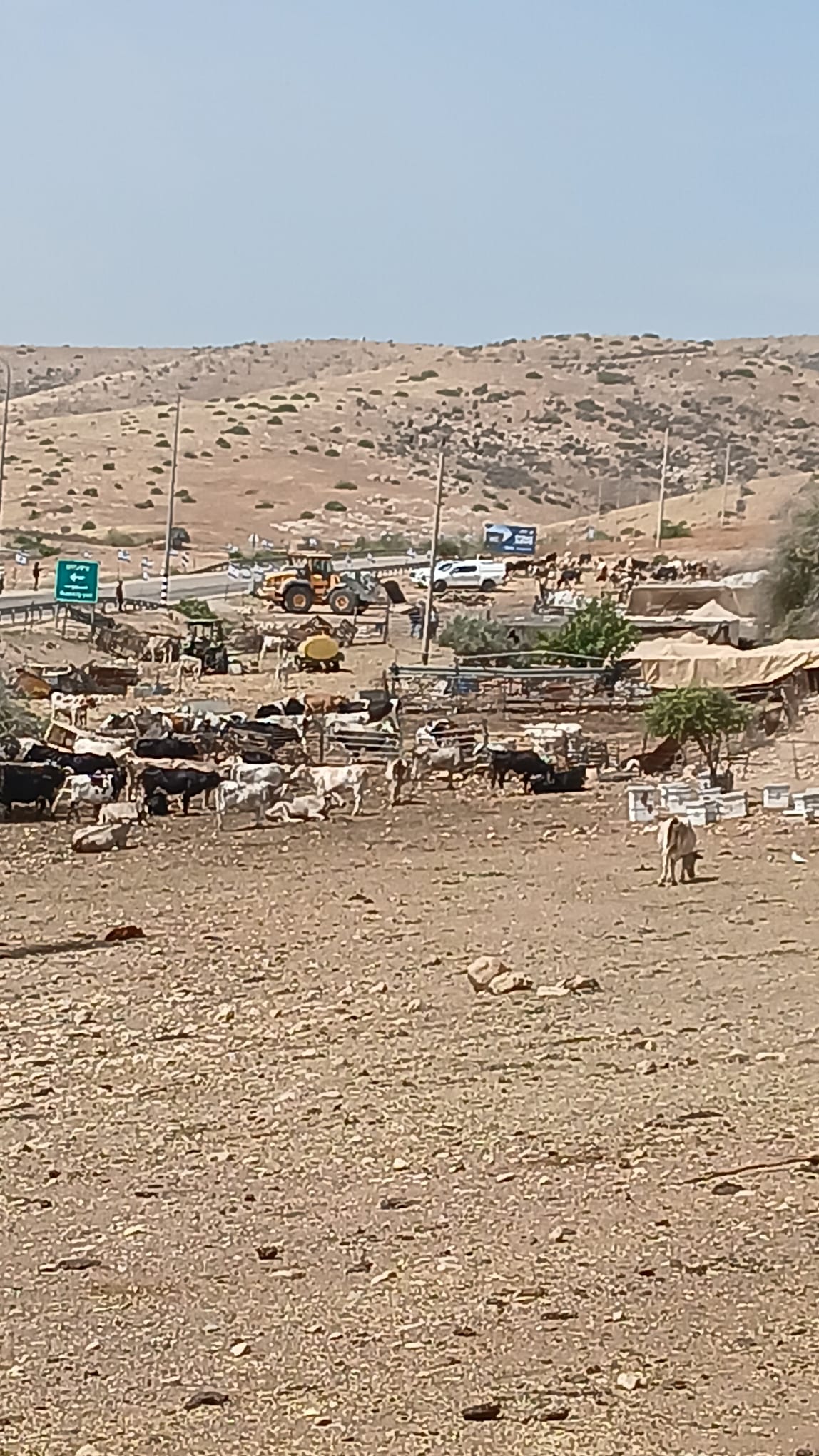 ארגון הבריאות העולמי: הרס נרחב במערכת הבריאות ובחיי אדם בשטחים הפלסטיניים הכבושים