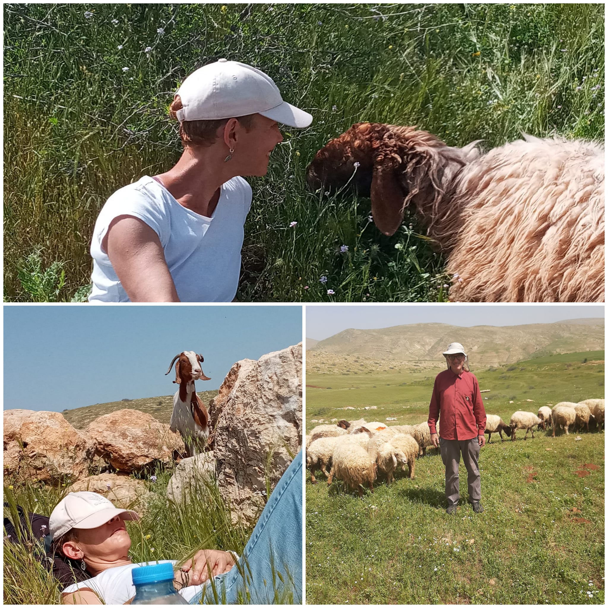 בבקשה עזרו לנו לעזור להם.