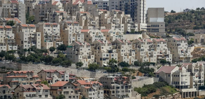 80 ארגונים בינלאומיים דורשים לאסור כל סחר עם ההתנחלויות הישראליות