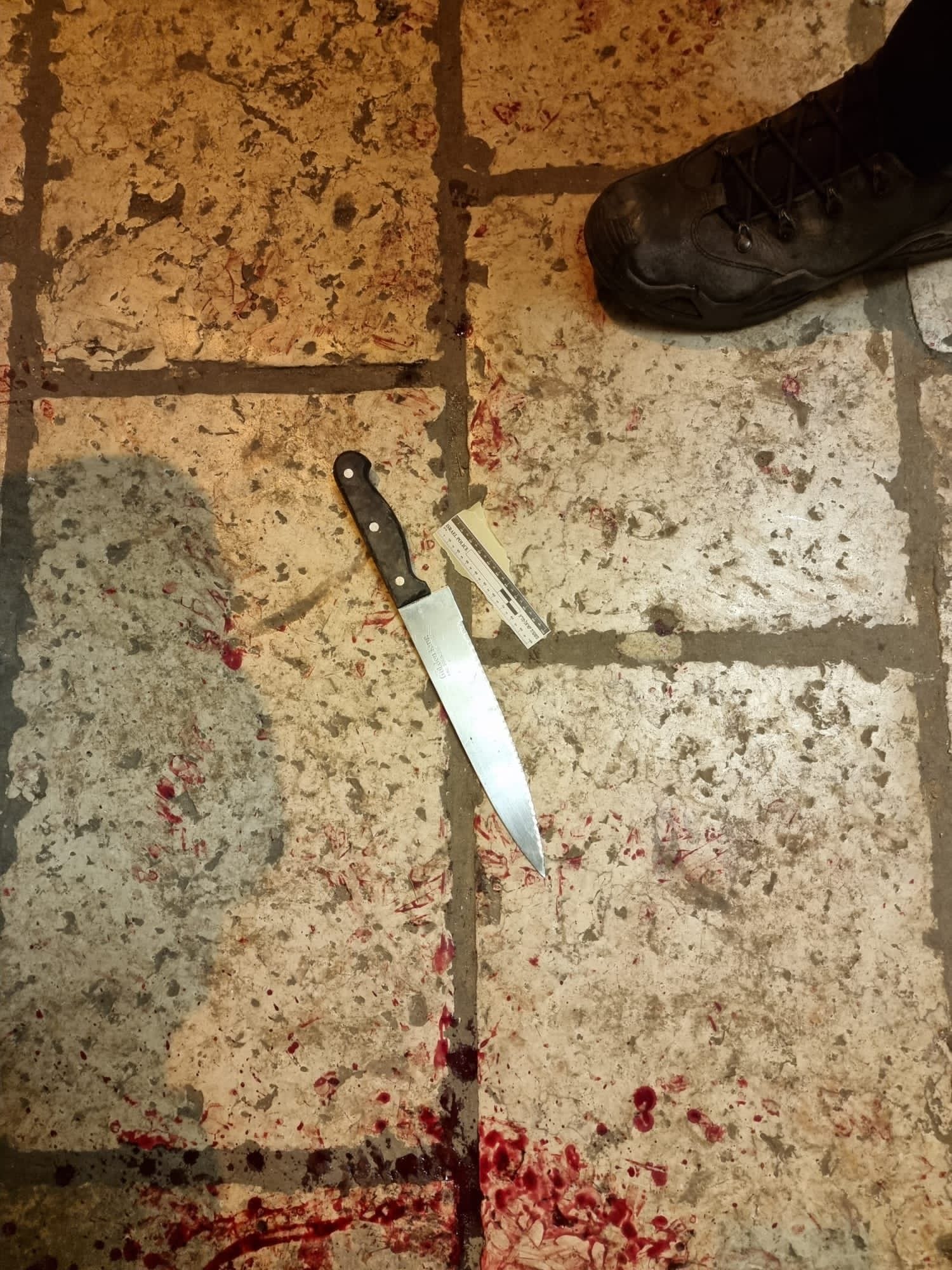 האם הצעיר באמת דקר שני שוטרים?