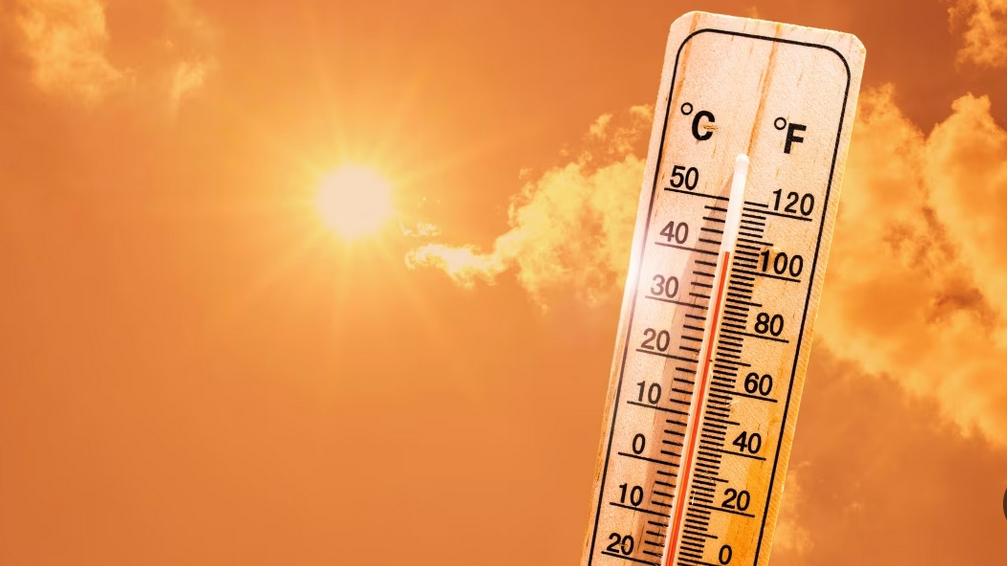 הלשכה המרכזית לסטטיסטיקה והשירות המטאורולוגי: שיפור בכמות המשקעים ועלייה בטמפרטורות בשנת 2025