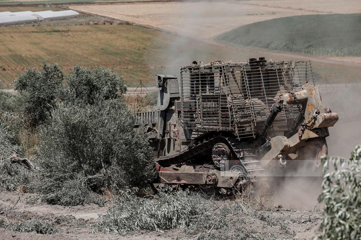 עקירת עצים וחרישת אדמות: מפעל ההתנחלויות פוגע בשטחים החקלאיים בגדה המערבית
