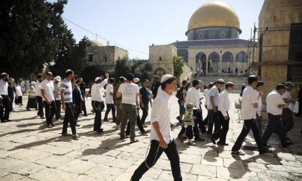 לראשונה מאז כיבוש ירושלים: מתנחלים פלשו לאל-אקצא כשברשותם "קורבן הלחם"
