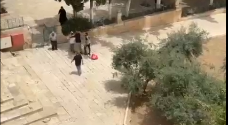 מאבטחי מסגד אל-אקצא סיכלו ניסיון להכניס "קורבן חי" לשטח המסגד