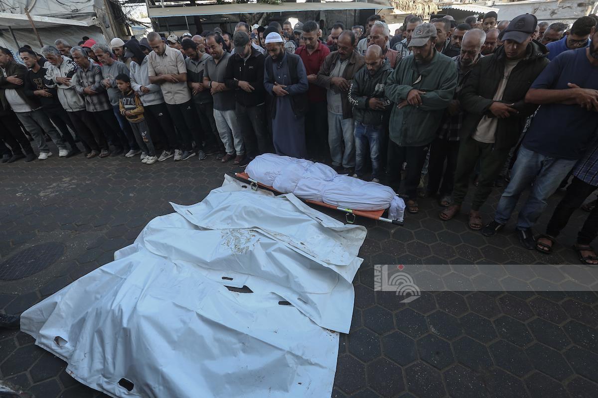 חמישה הרוגים, בהם ילדה, ו-15 פצועים בהפגזות כוחות הכיבוש ברצועת עזה