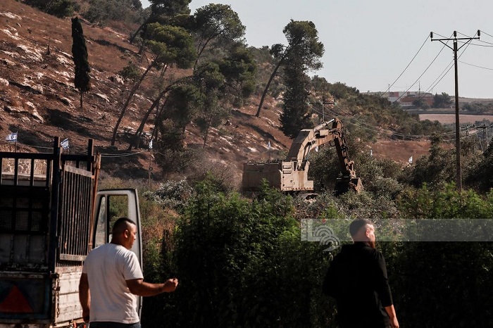 כוחות הכיבוש חישפו אדמות חקלאיות ועקרו עשרות עצי זית בכפר מאלכ