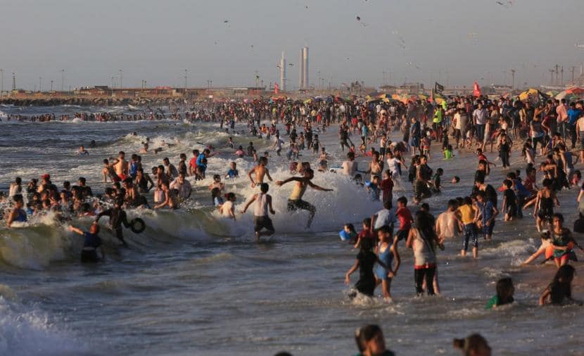 חופי עזה נקיים 