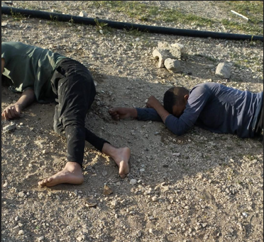 שני צעירים נפצעו בתקיפת מתנחלים סמוך לאל־חאן אל־אחמר, מדרום ליריחו