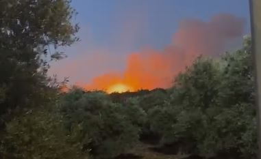 מתנחלים הציתו עצי זית בין תורמוסעיא לאבו פלאח, מצפון־מזרח לרמאללה