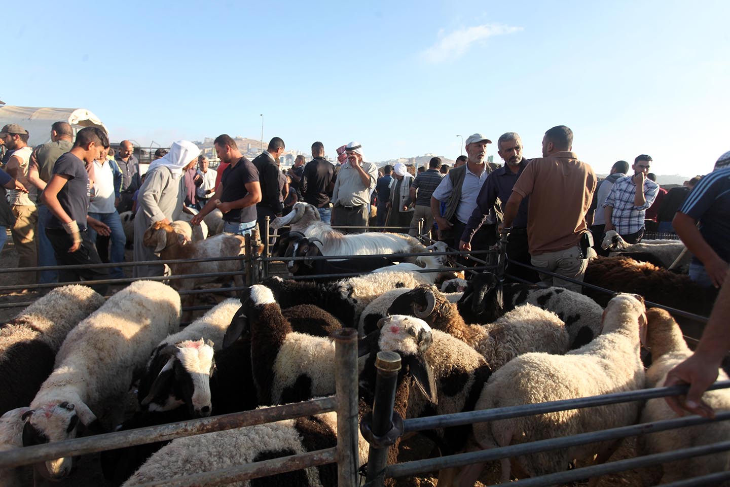עזה חוגגת את עיד אלאדחא בלי בשר, בלי שמחה ובלי תקווה