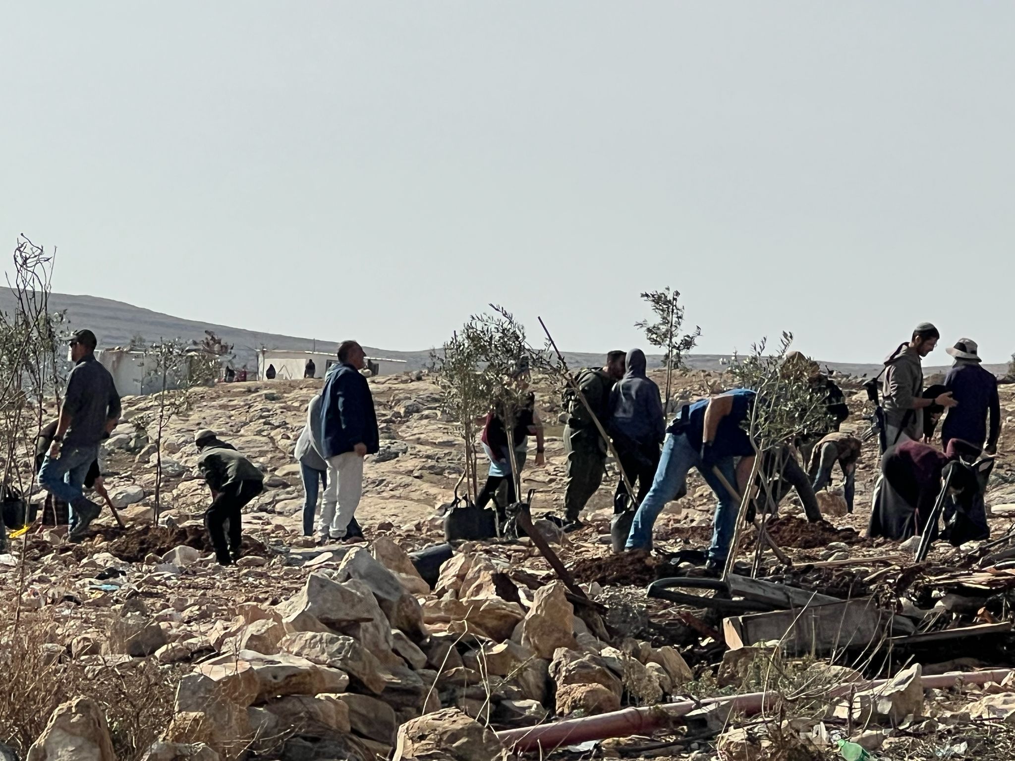 מתנחלים נוטעים עצים במסאפר יטא כחלק ממאמץ להשתלט על האדמות