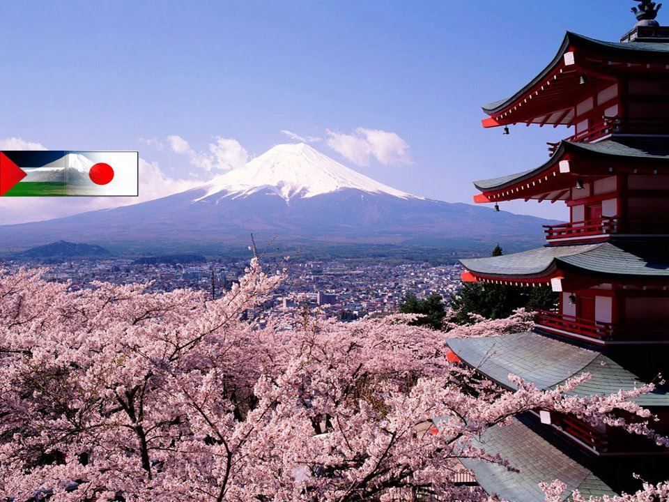 יפן מסייעת לעניי פלסטין במזון