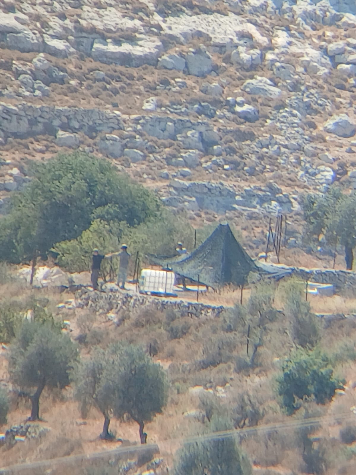 מתנחלים תקפו שוב את קהילת אל־כעאבנה ממזרח לא־טייבה שברמאללה