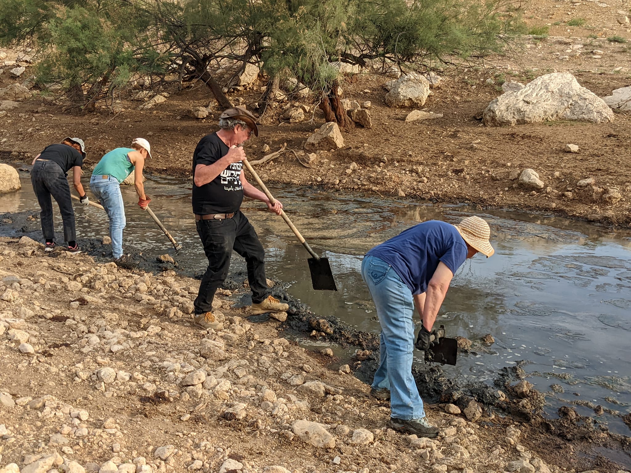פעילים נגד הכיבוש שיפצו בריכות מים לעדרי הבקר בבקעה