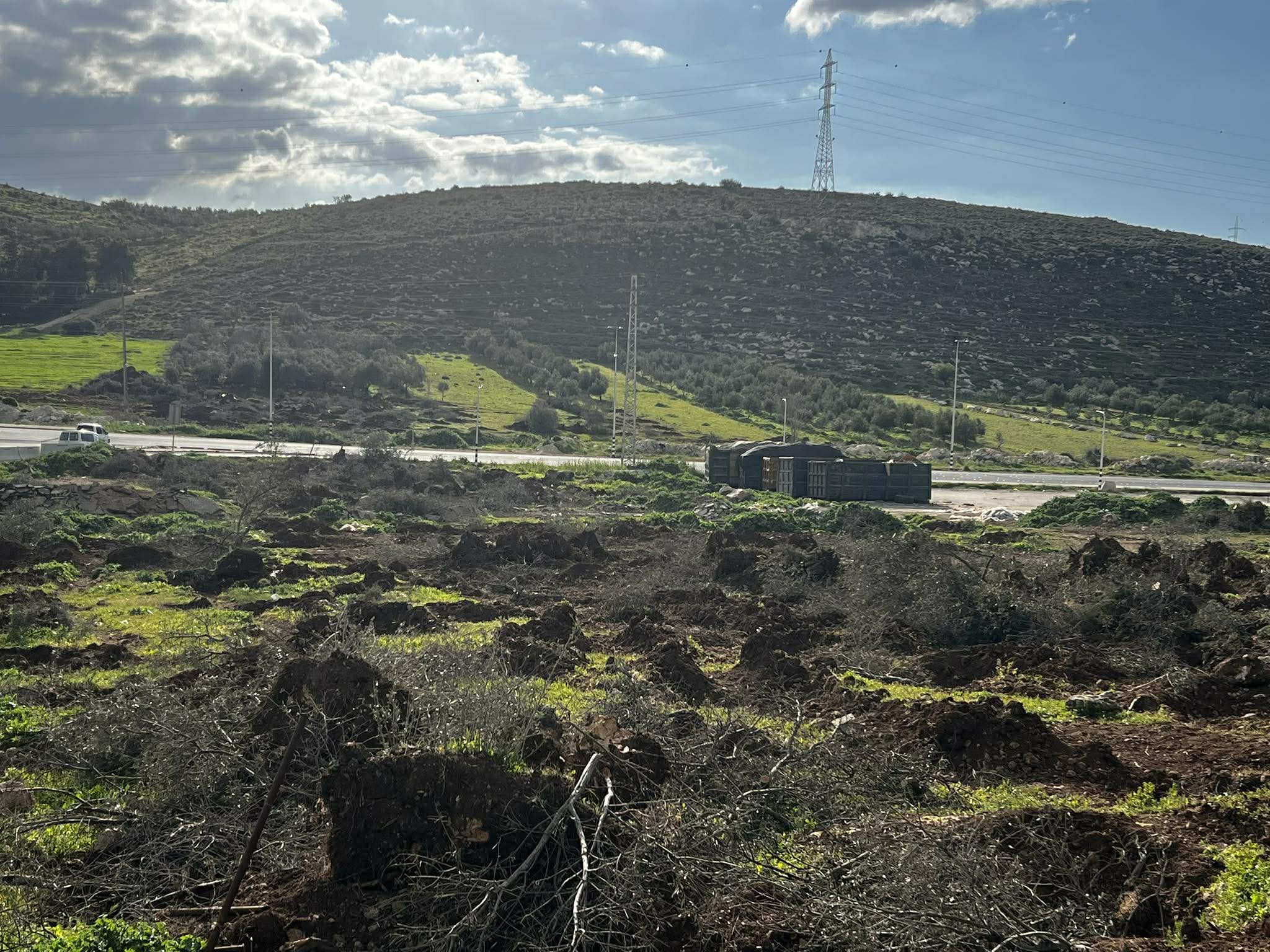 פצועים בתקיפות של מתנחלים בסעיר וביטא, כוחות הכיבוש עצרו שני צעירים וילד ועקרו עצי זית ממערב לחברון