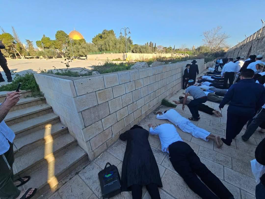 מתנחלים פלשו לאל־אקצא ביום החמישי של ״חג האורות״ העברי וביצעו השתחוות פומבית