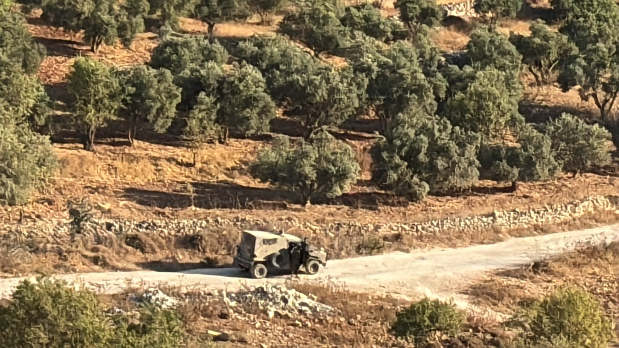 מתנחלים תקפו בתי תושבים בח'רבת אל־חמה שבבקעת הירדן הצפונית