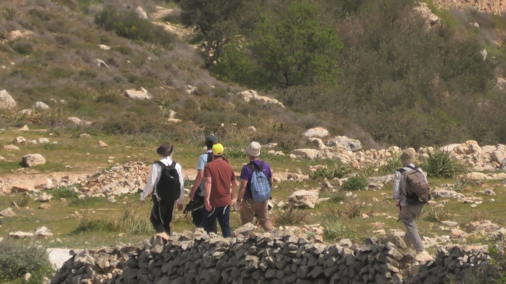 מתנחלים ירו לעבר בתי תושבים ממזרח לסעיר