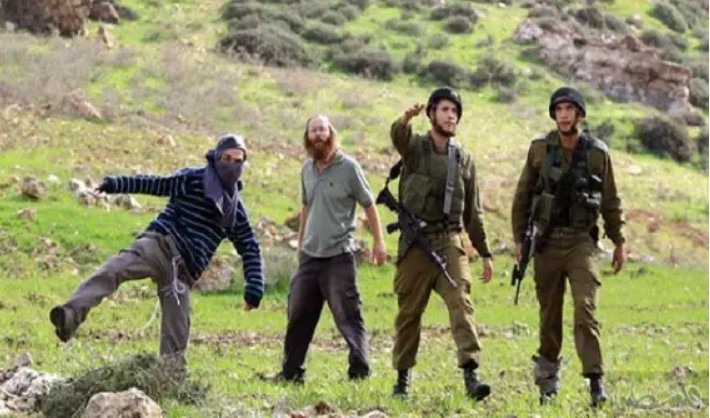 "כוחות הכיבוש והמתנחלים ביצעו 1228 תקיפות באוגוסט האחרון"