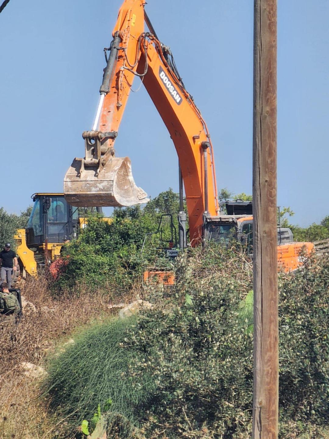 כוחות ישראליים עוקרים כ-60 עצי זית ממערב לג'נין