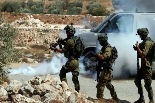 כוחות הכיבוש ירו גז מדמיע לעבר מוסקי זיתים באבו פלאח