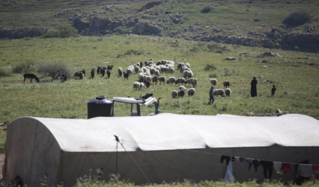 דוח חושף: "המאחזים הרעייתיים" - חממה לאלימות קיצונית וכלי השתלטות על אדמות פלסטיניות