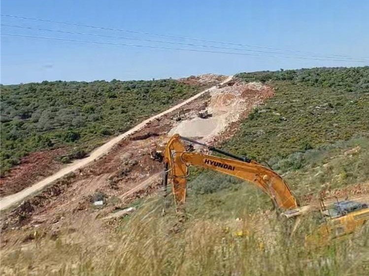 דו"ח: פעולות כוחות הכיבוש בוואדי אל-מטווי מאיימות על המגוון הביולוגי ומעמיקות את ההתנחלויות