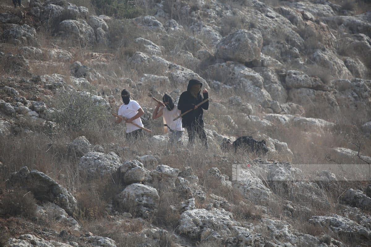 דוח: עלייה חדה בטרור המתנחלים בגדה לנוכח מחדל ממשלתי ישראלי ברור