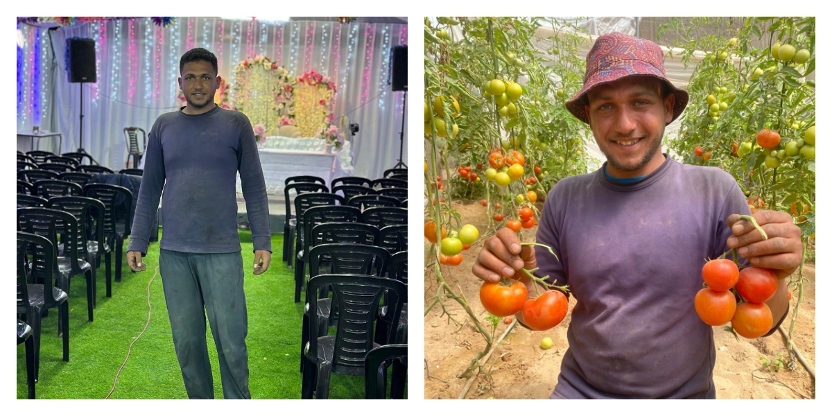 כשאין אולמות ואין בית, חממות בעזה הופכות לאתרי חתונות