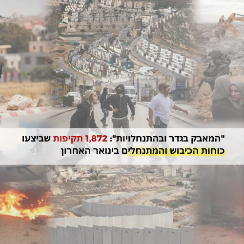 "המאבק בגדר ובהתנחלויות": 1,872 תקיפות שביצעו כוחות הכיבוש והמתנחלים בינואר האחרון.