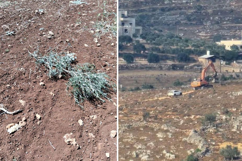 מתנחלים ממשיכים בעבודות חישוף בשטחי עקרבה שבדרום שכם