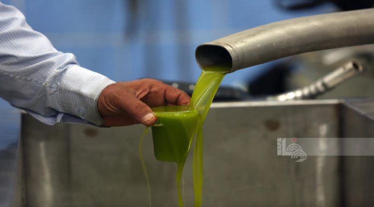 ירדן תאפשר ייבוא שמן זית דרך מעבר אל־כרמה: מגבלת כמות לכל משפחה