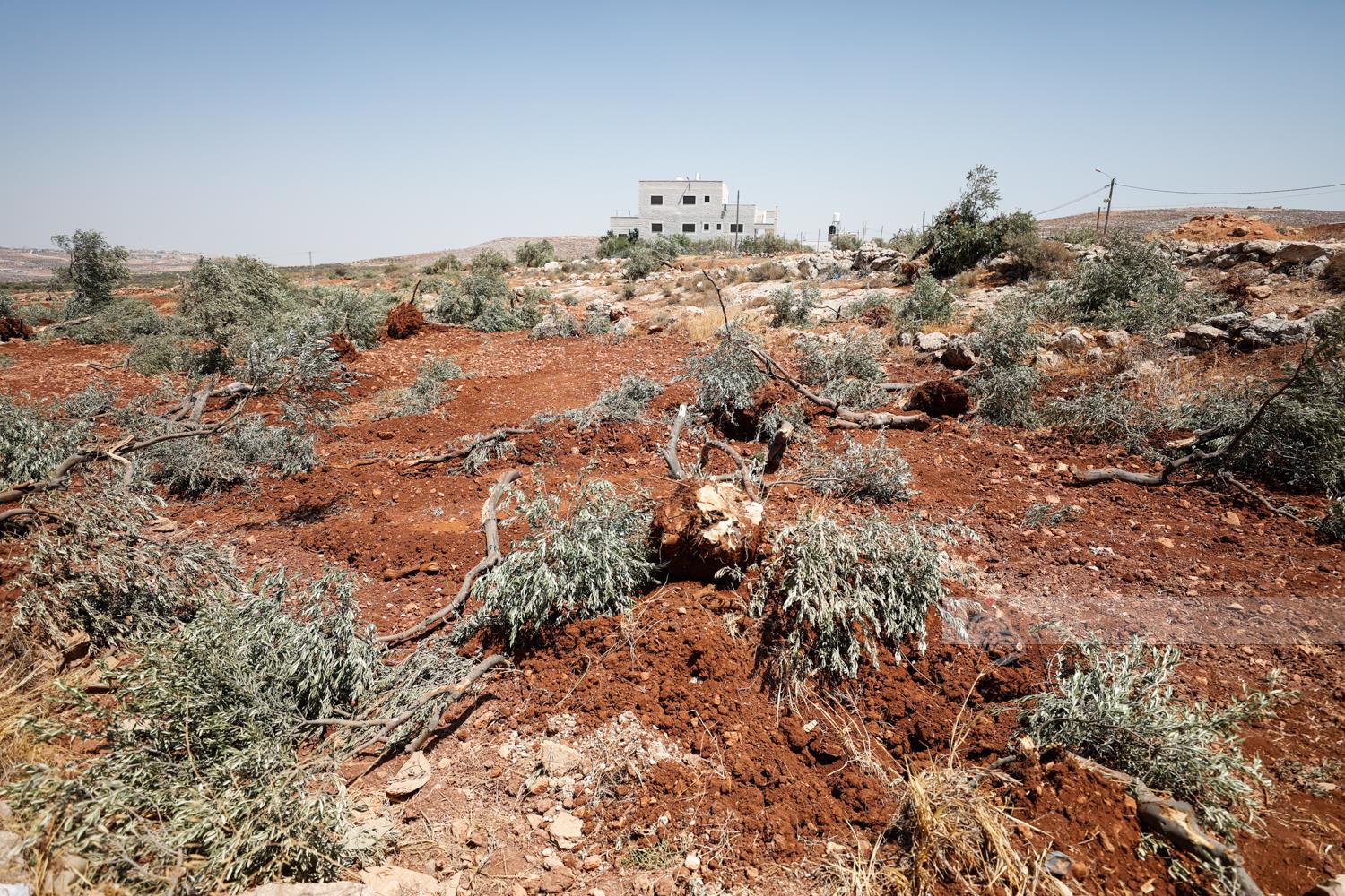 אלמוע'ייר שהכיבוש והמתנחלים מנסים להוביל לגירוש