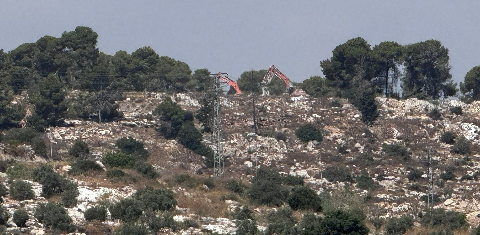 עאבה תחת איום: בתים בסכנת הריסה ואדמות חקלאיות מול התרחבות ההתנחלות