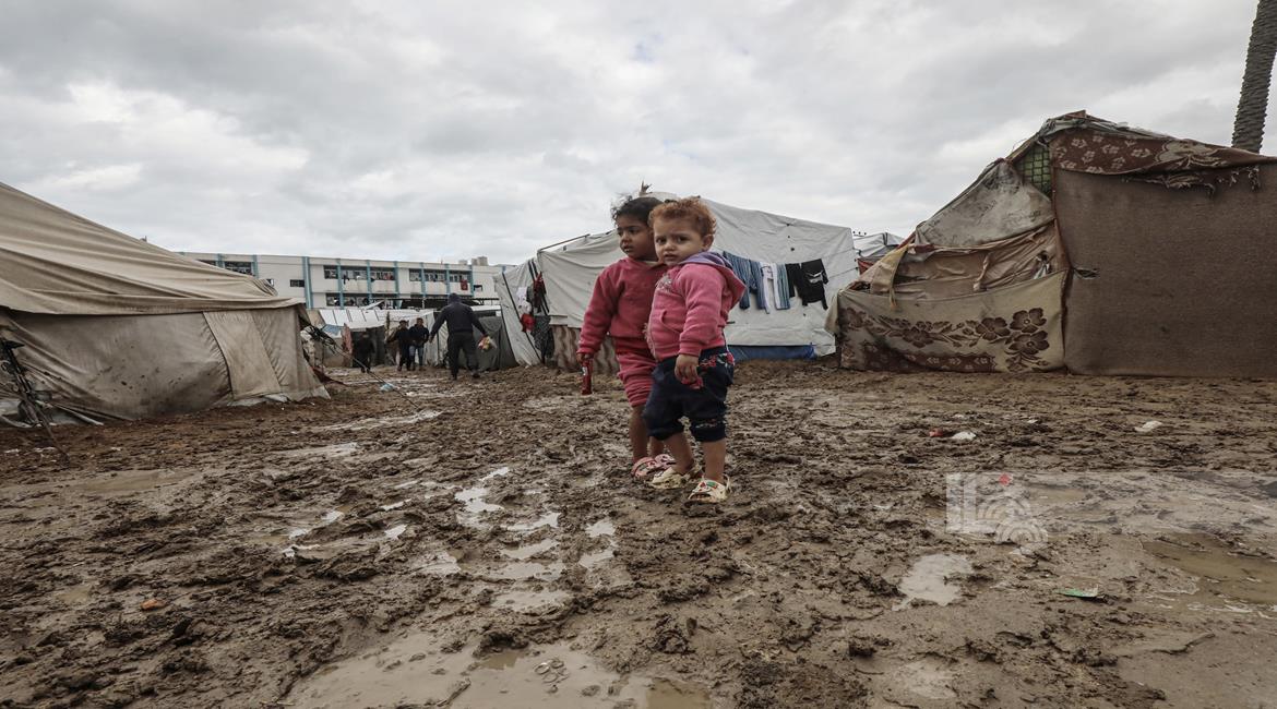 מועצת FAO: החלטה דרמטית על המשבר ההומניטרי בעזה והשלכותיו על הביטחון התזונתי