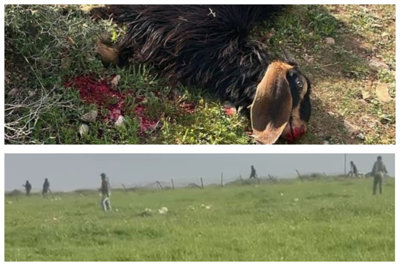 מתנחלים תקפו רכוש של תושבים במתחם הבדואי מעאזי ג'בע, מצפון־מזרח לירושלים