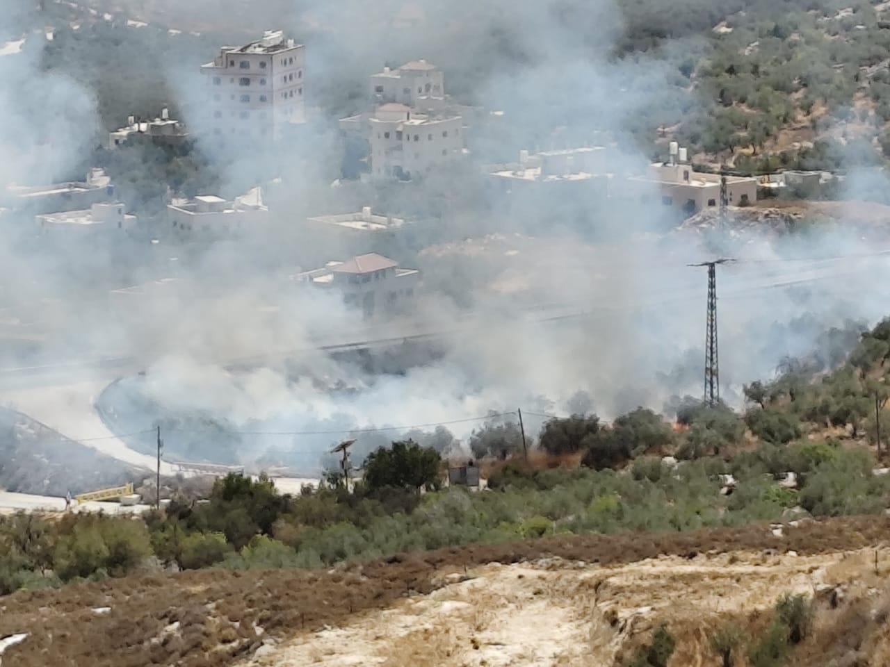 מתנחלים הציתו עשרות דונמים מדרום לשכם