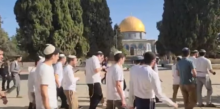 יותר מ־600 מתנחלים פרצו לשטח המסגד אל-אקצא בליווי כוחות הכיבוש