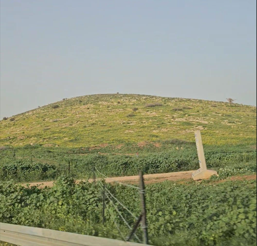 מתנחלים מגדרים כ־1,500 דונם בצפון בקעת הירדן לאחר שכפו על שש משפחות לעזוב