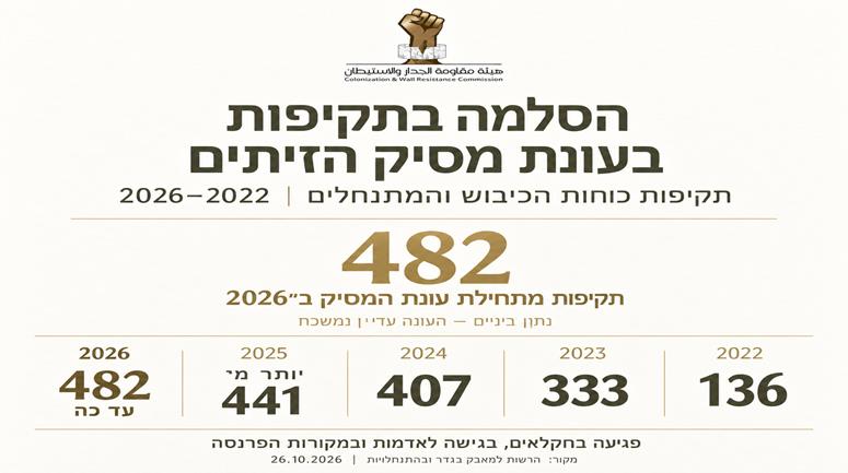 482 תקיפות מתחילת עונת המסיק: עלייה מתמשכת בפגיעה בחקלאים מאז 2022